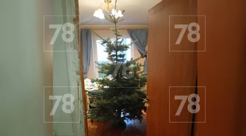 В Петербурге задержали спилившего 13-летнюю елку с детской площадки на Доблести